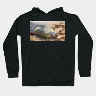 Hawaiian Monk Seal Hoodie